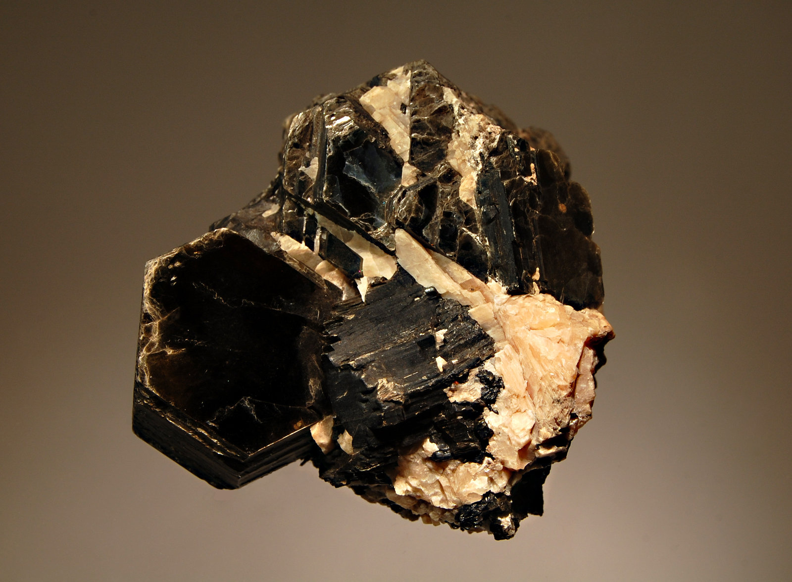 Phlogopite
6.5 x 8.1 cm
(Autor: Michael Shaw)
