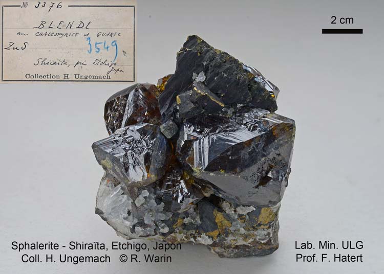 Sphalerite
65 mm wide
(Autor: Roger Warin)