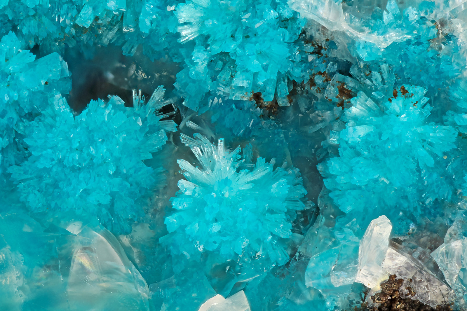 Cavansite
FOV = 3.8 mm
(Autor: Doug)