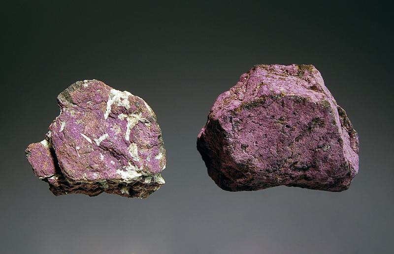 (Autor: Michael Shaw)
