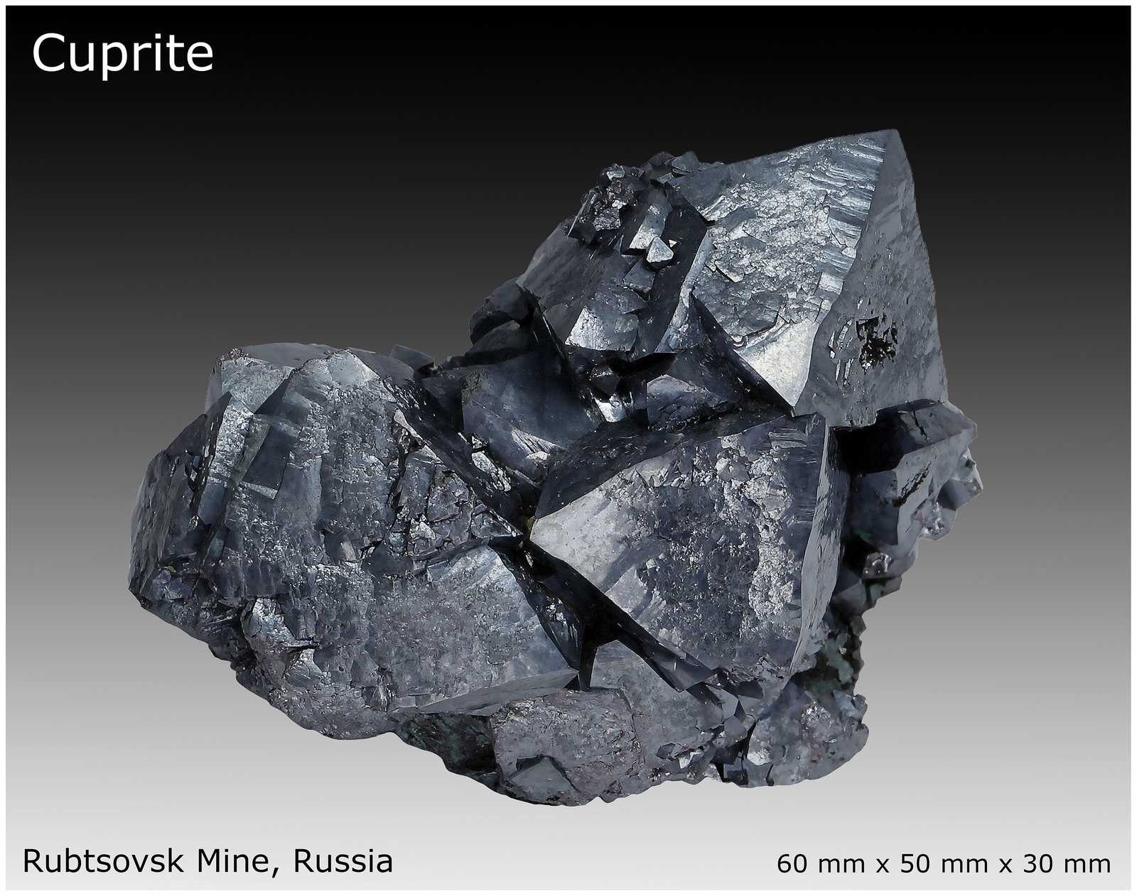 Cuprite
60 mm x 50 mm x 30 mm
(Autor: silvia)