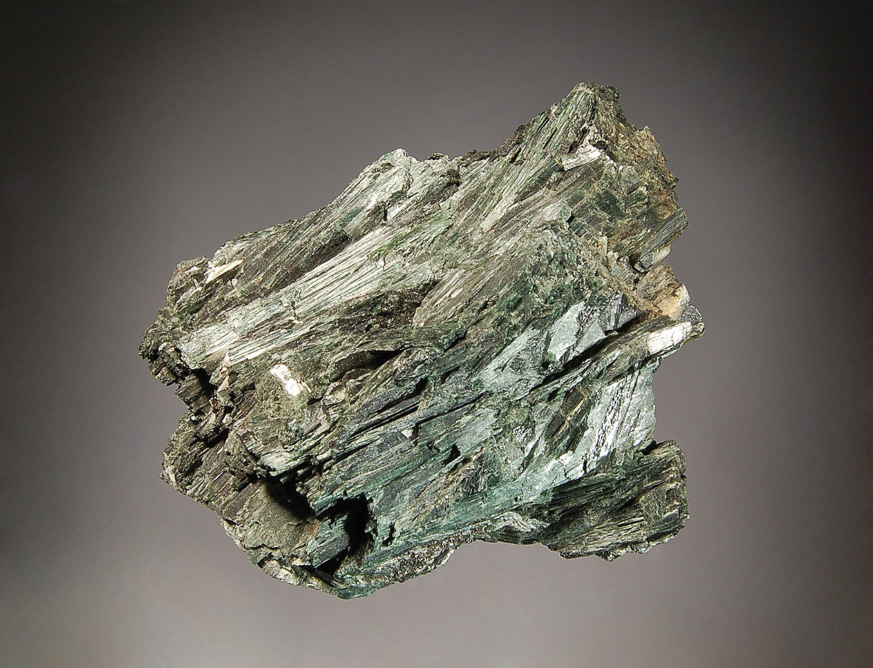 Actinolite
6.0 x 7.5 cm
(Autor: Michael Shaw)