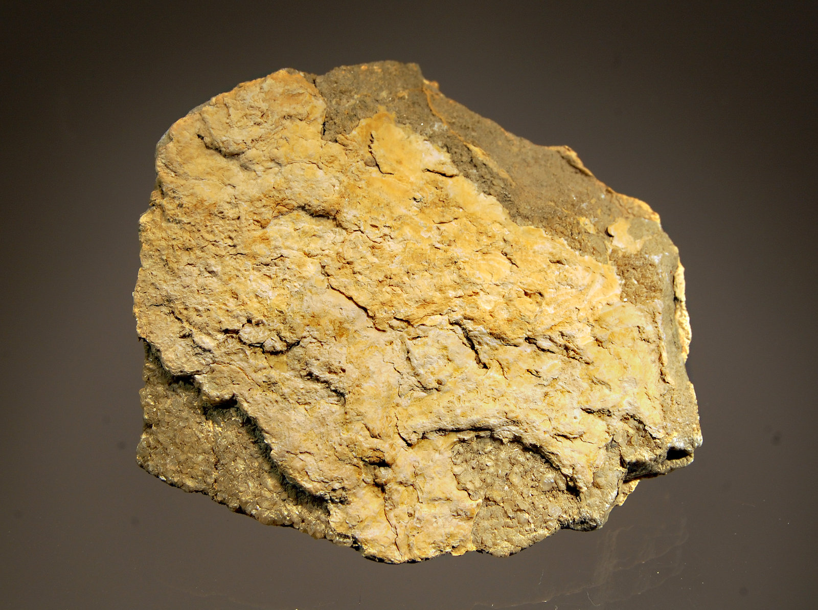 Tremolite
6.1 x 7.2 cm.
(Autor: Michael Shaw)