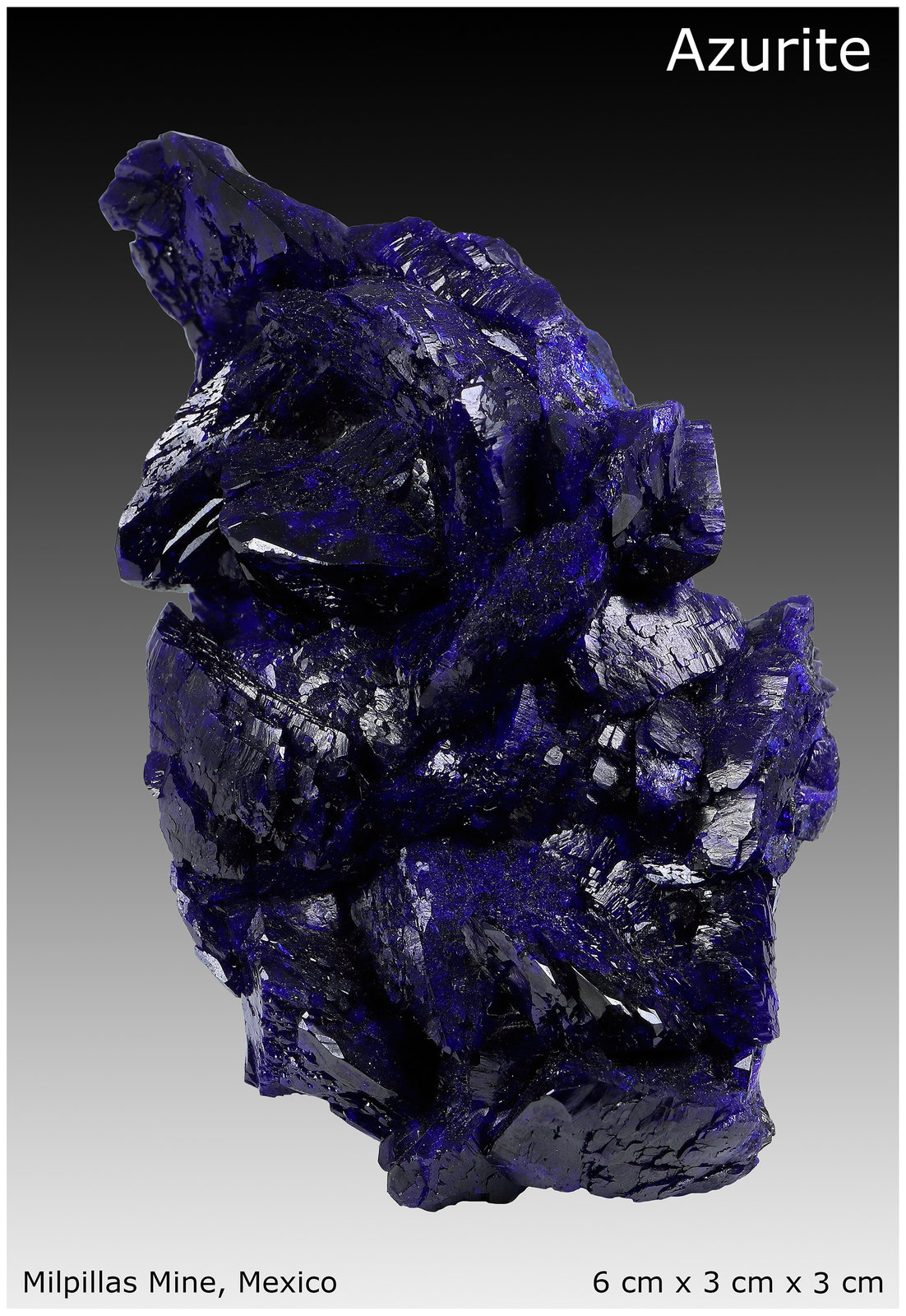 Azurite
6 cm x 3 cm x 3 cm
(Autor: silvia)