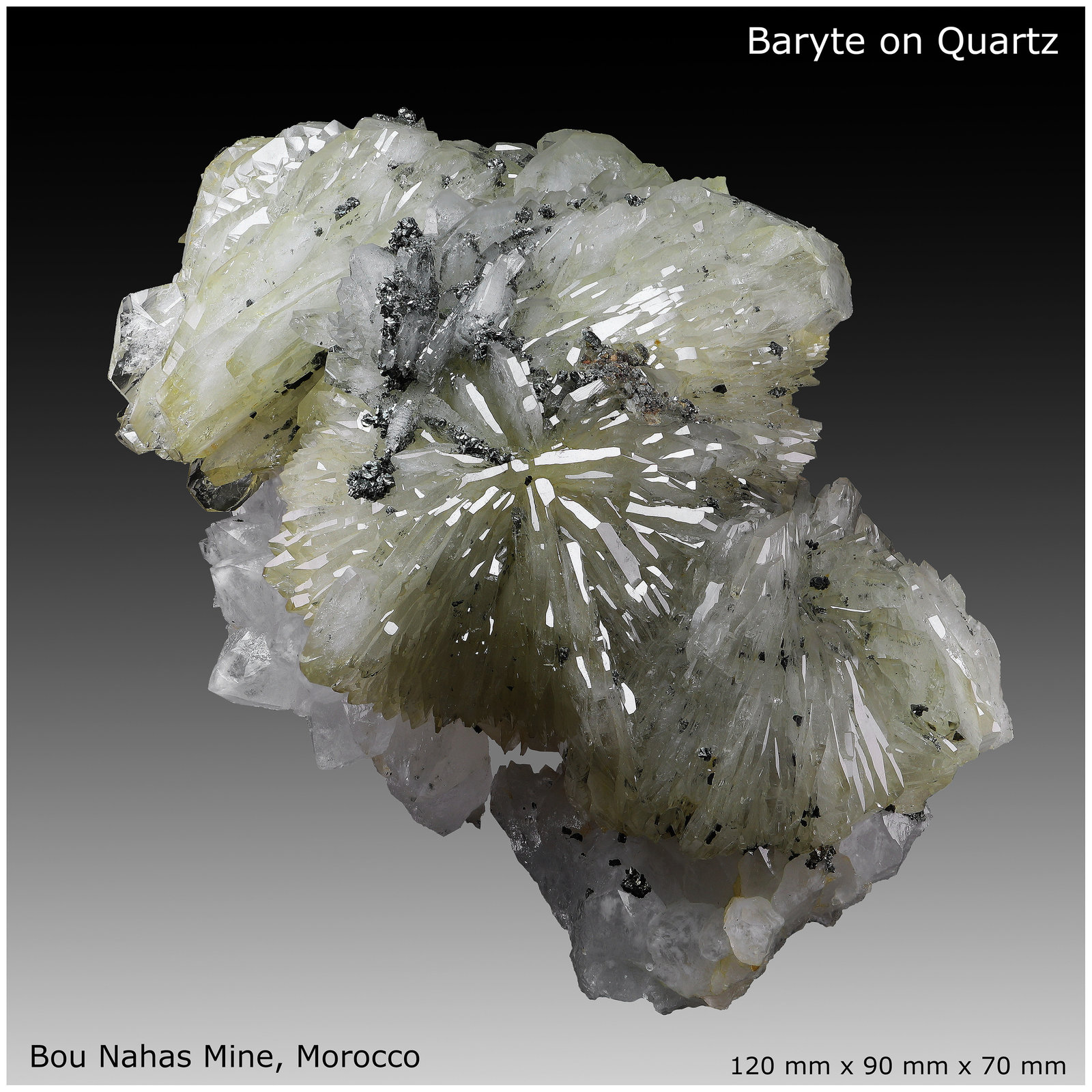 Baryte, Quartz, Pyrite
120 mm x 90 mm x 70 mm
(Autor: silvia)