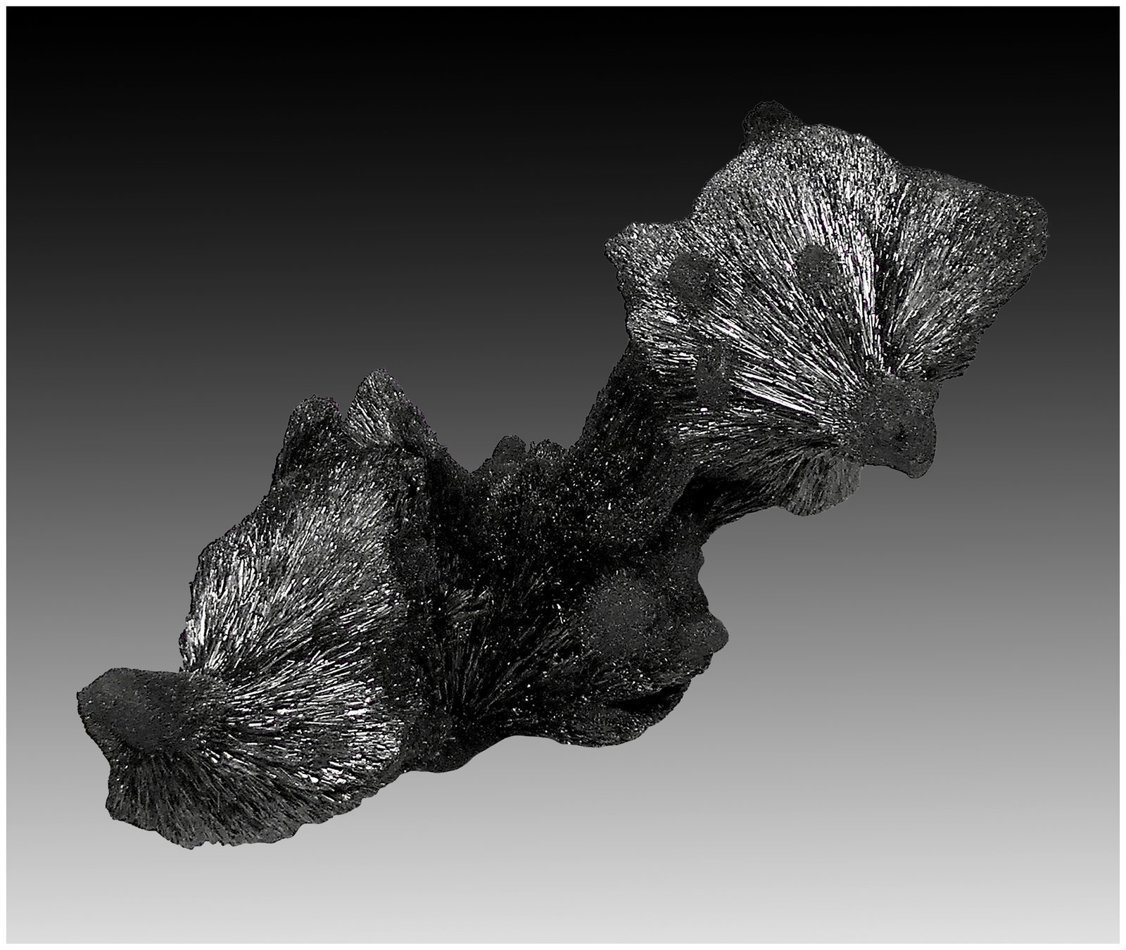 Berthierite
8 cm x 4 cm x 4 cm
(Autor: silvia)