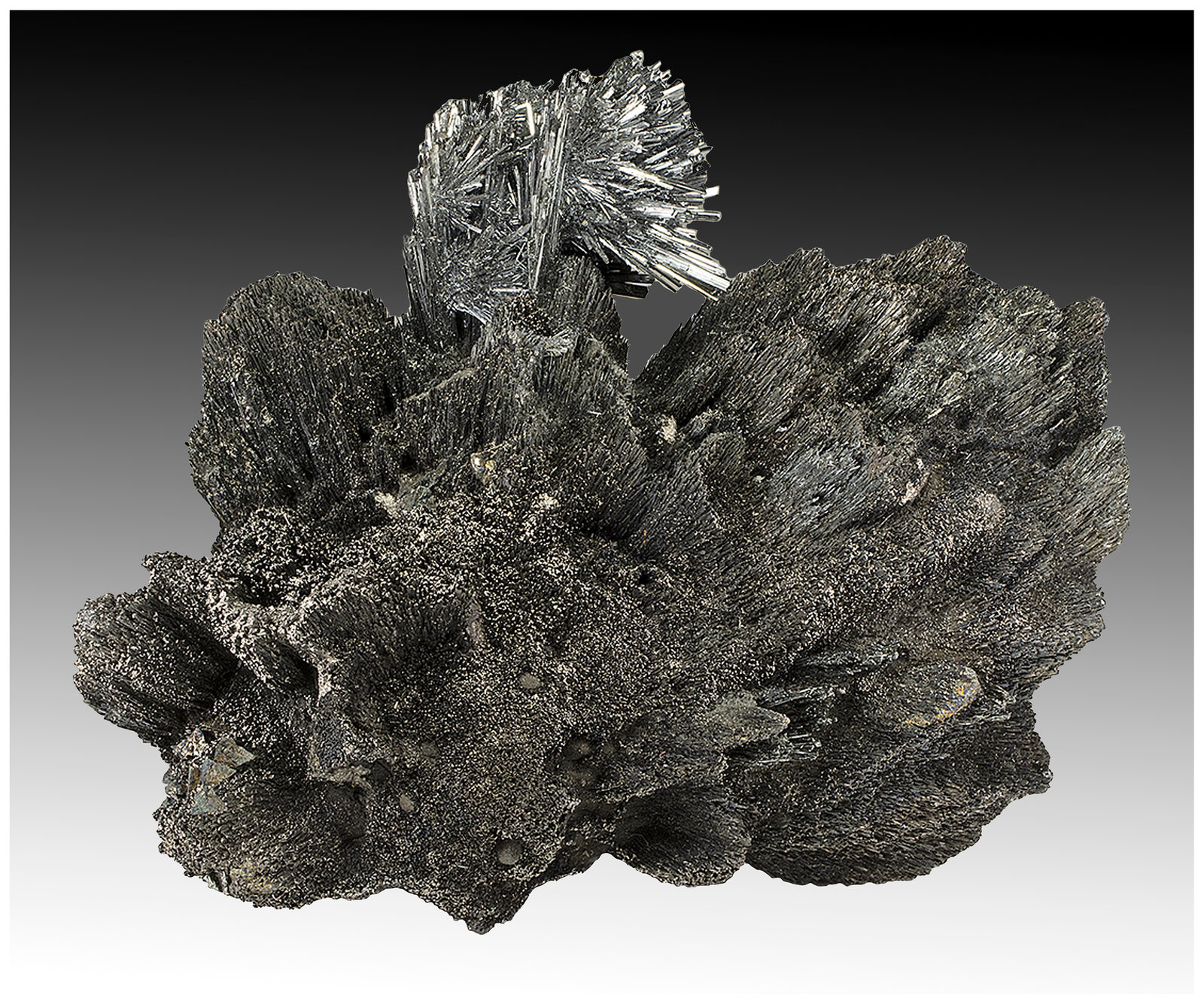 Berthierite, Stibnite, Tetrahedrite
16 cm x 14 cm x 7 cm
(Autor: silvia)