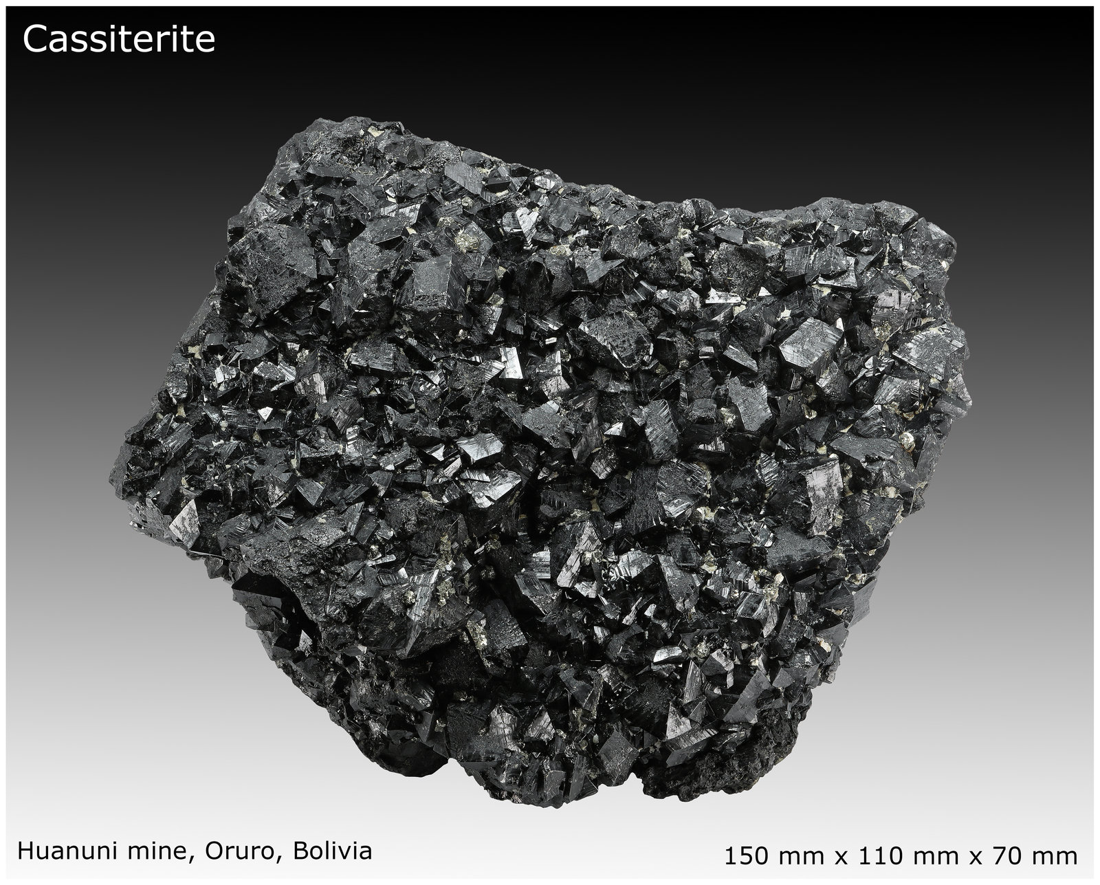 Cassiterite
150 mm x 110 mm x 70 mm
(Autor: silvia)