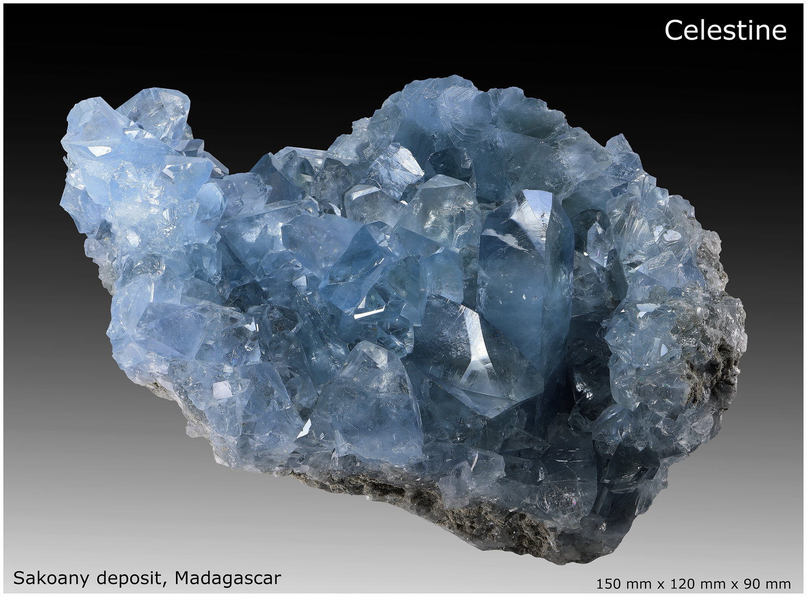 Celestine
150 mm x 120 mm x 90 mm
(Autor: silvia)