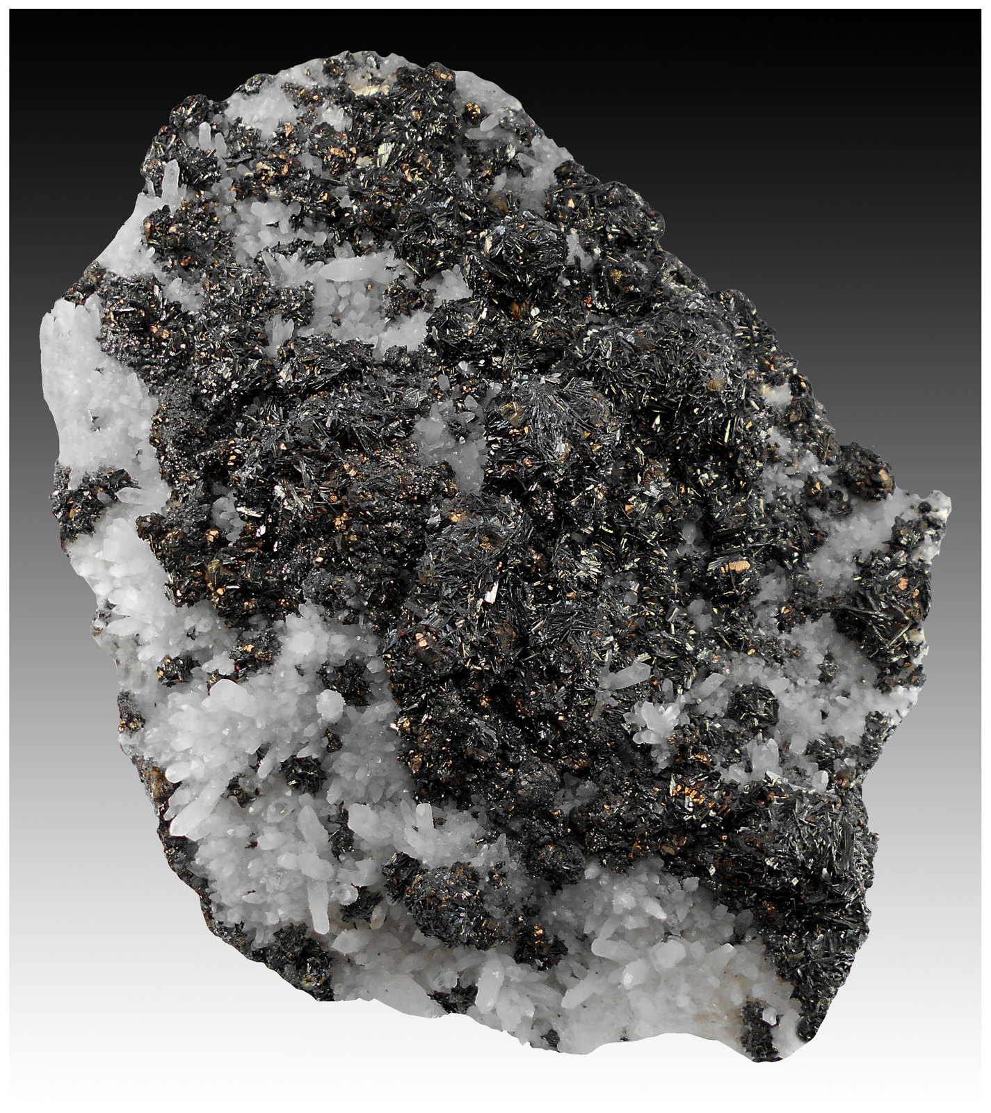 Chalcostibite, Quartz, Tetrahedrite
15 cm x 12 cm x 4 cm
(Autor: silvia)