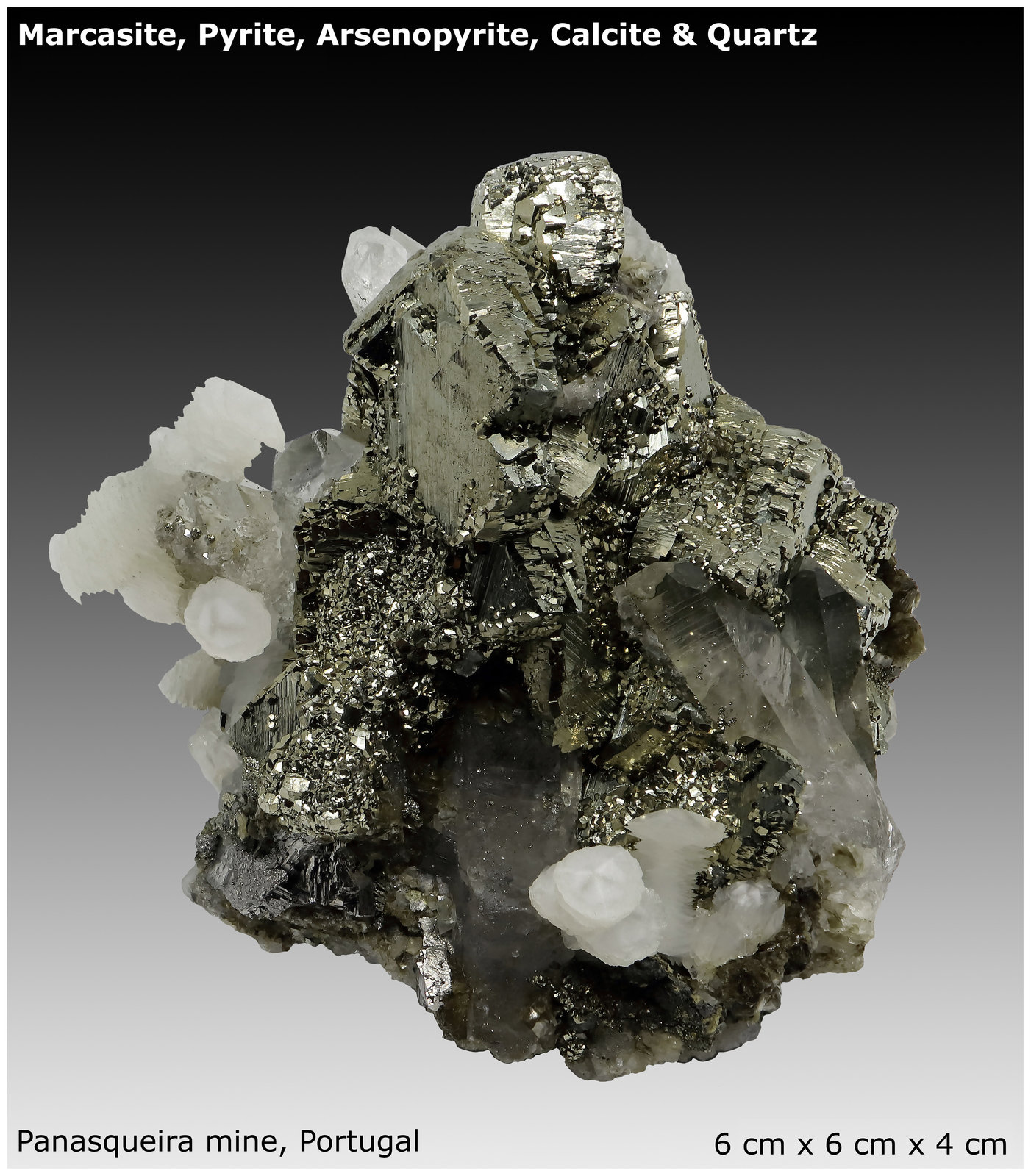 Marcasite, Pyrite, Arsenopyrite, Calcite & Quartz
6 cm x 6 cm x 4 cm
(Autor: silvia)