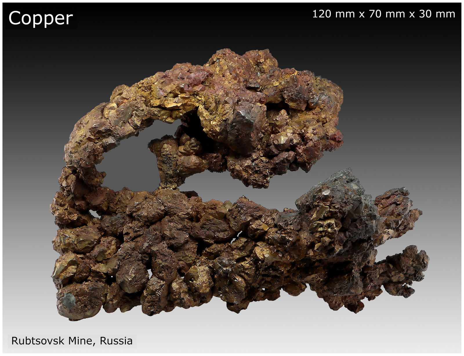 Copper
120 mm x 70 mm x 30 mm
(Autor: silvia)