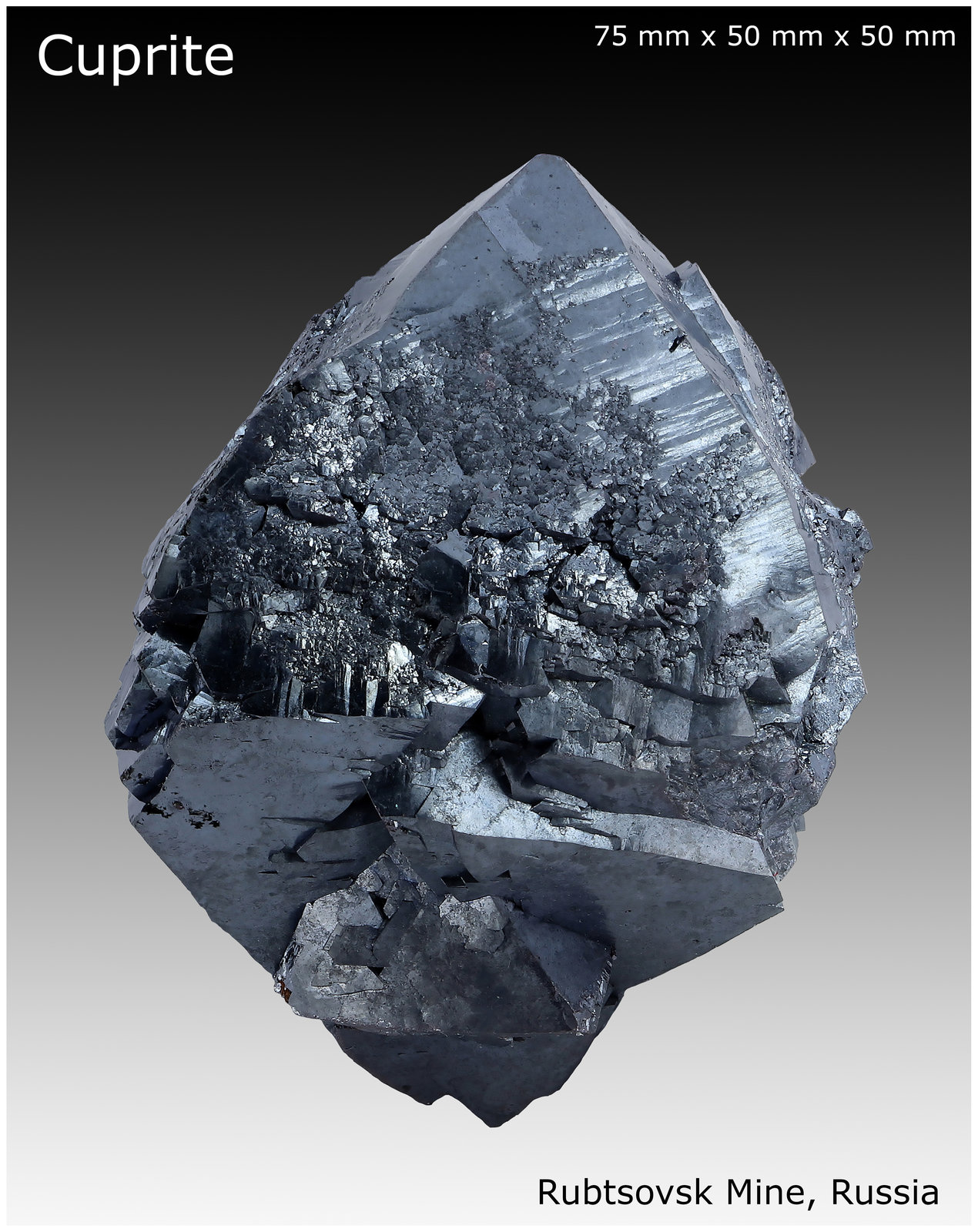 Cuprite and Silver
75 mm x 50 mm x 50 mm
(Autor: silvia)
