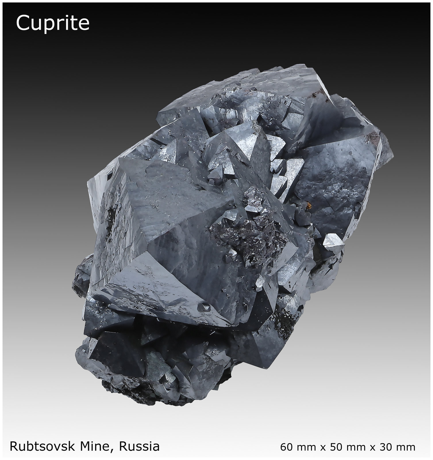 Cuprite
60 mm x 50 mm x 30 mm
(Autor: silvia)