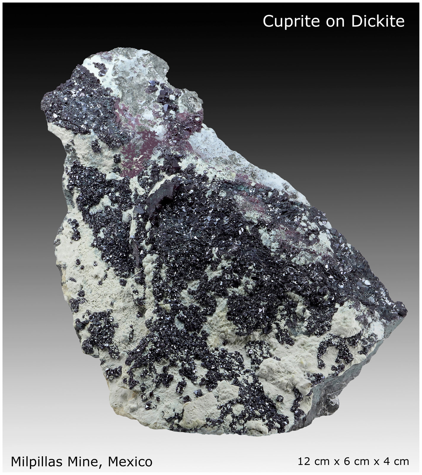 Cuprite
12 cm x 6 cm x 4 cm
(Autor: silvia)
