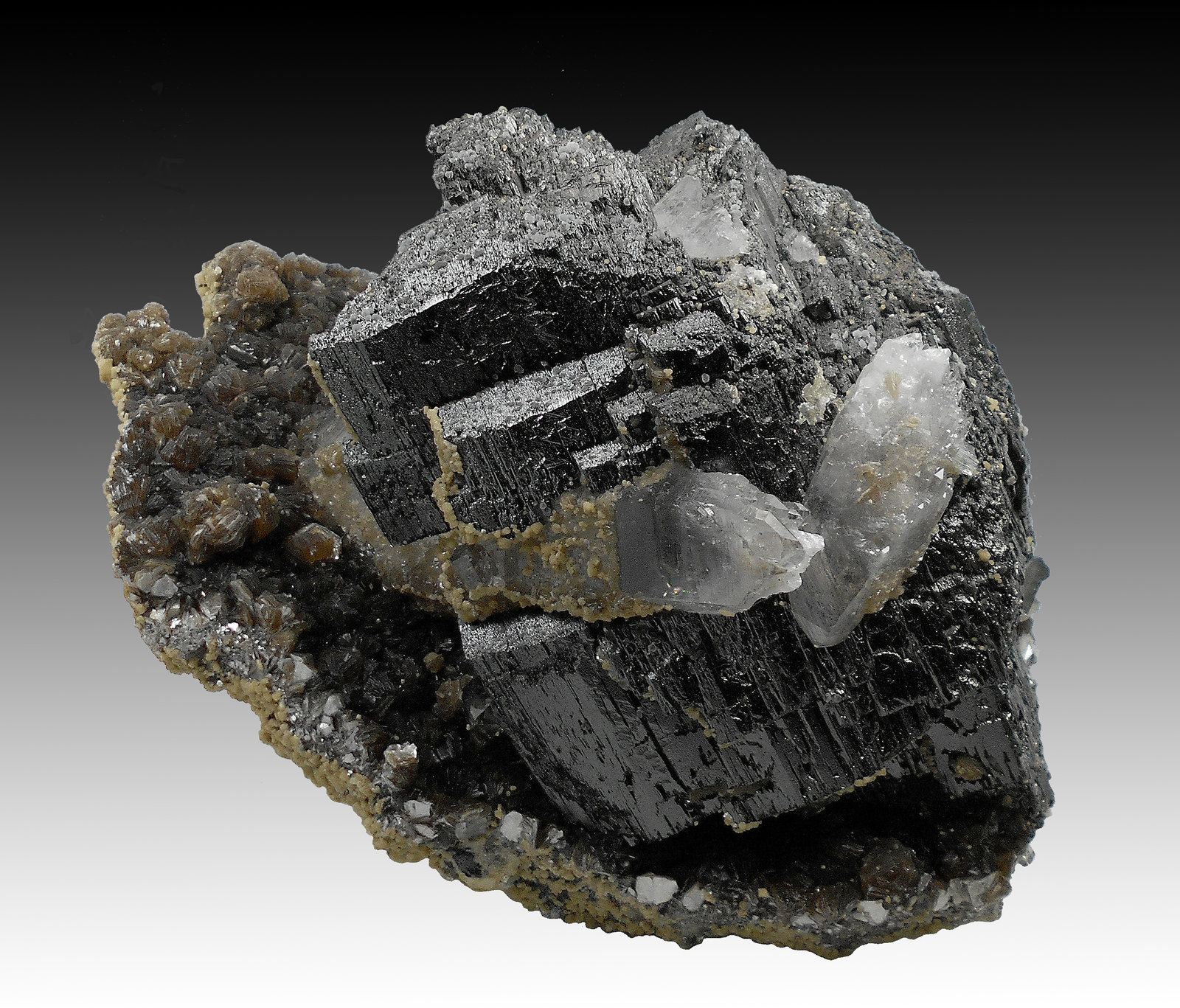 Ferberite, Muscovite, Quartz and Siderite
16 cm x 14 cm x 10 cm
(Autor: silvia)