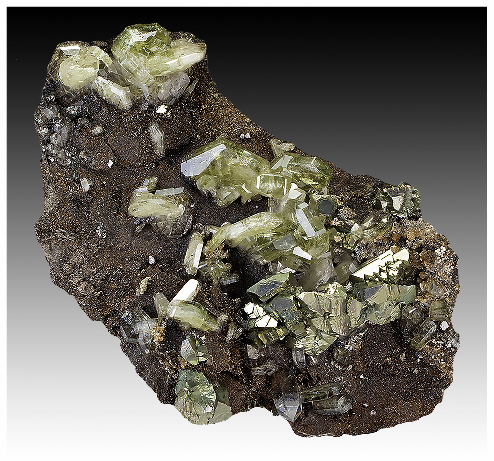 Fluorapatite, Dravite-Schorl Series, Marcasite/Arsenopyrite, Quartz, Dolomite
11 cm x 7 cm x 3 cm
(Autor: silvia)