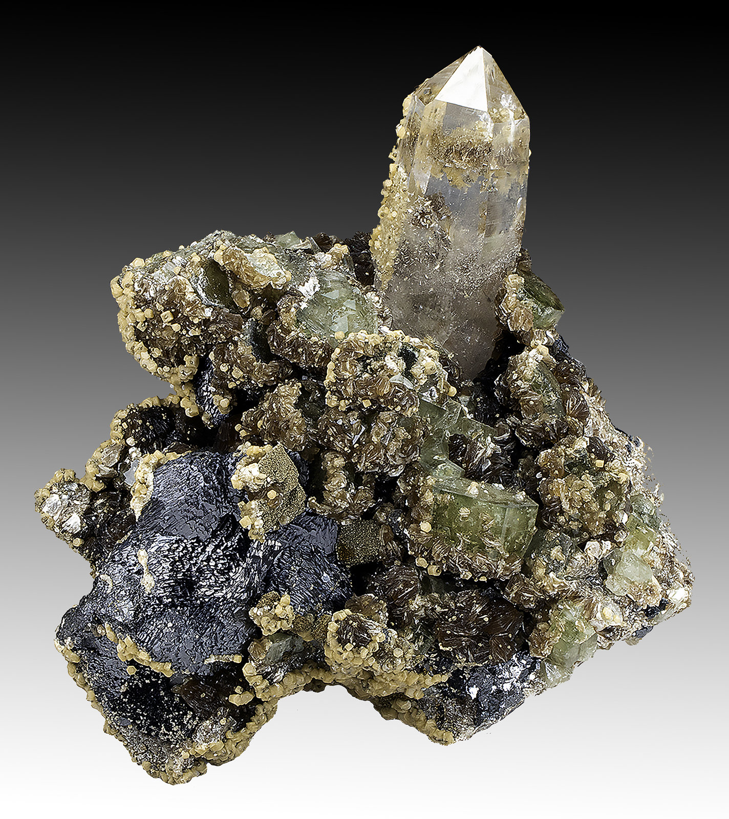 Fluorapatite, Sphalerite, Quartz, Muscovite, Siderite
14 cm x 12 cm x 7 cm
(Autor: silvia)