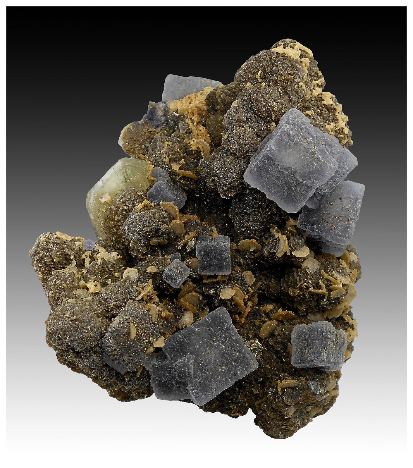 Fluorite, Fluorapatite, Siderite, Muscovite and Pyrite
9 cm x 8 cm x 6 cm
(Autor: silvia)