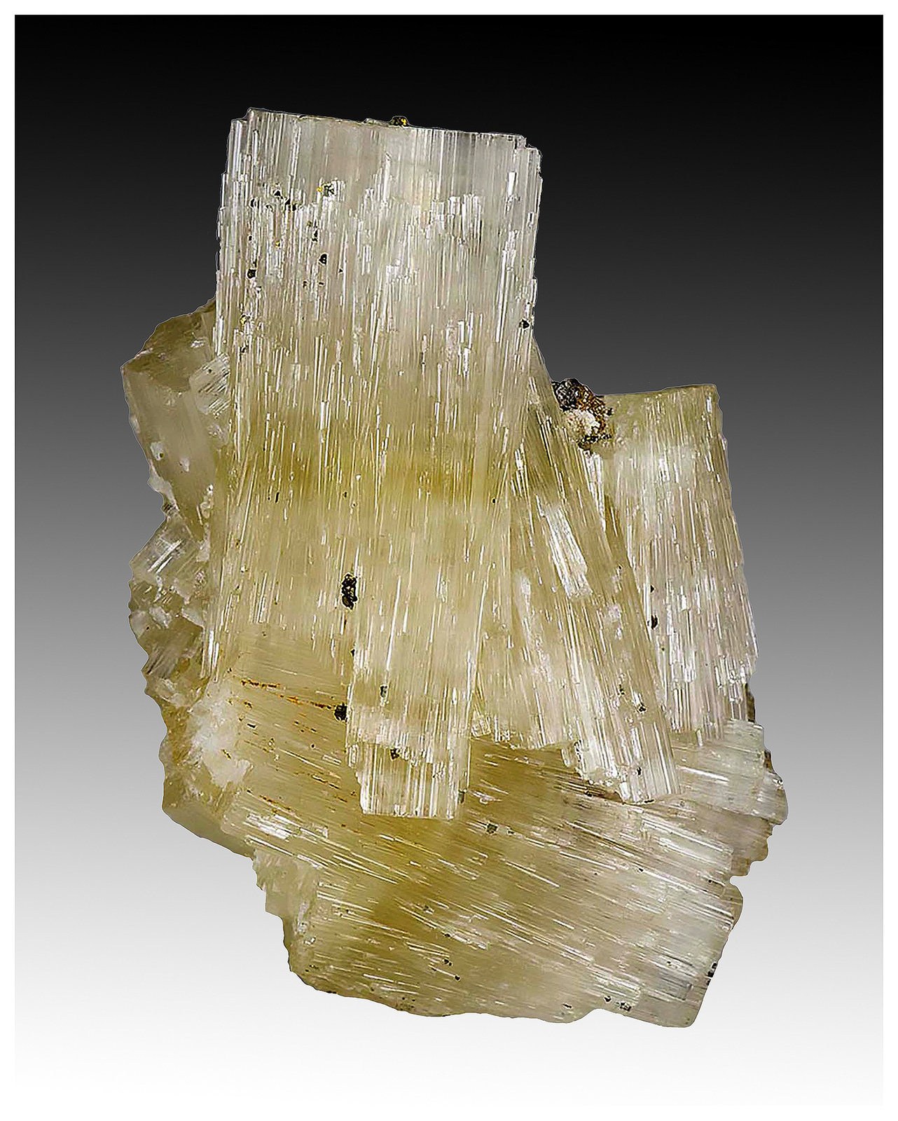 Fluorapatite, Topaz, Goyazite, Muscovite
4 cm x 3 cm x 3 cm
(Autor: silvia)
