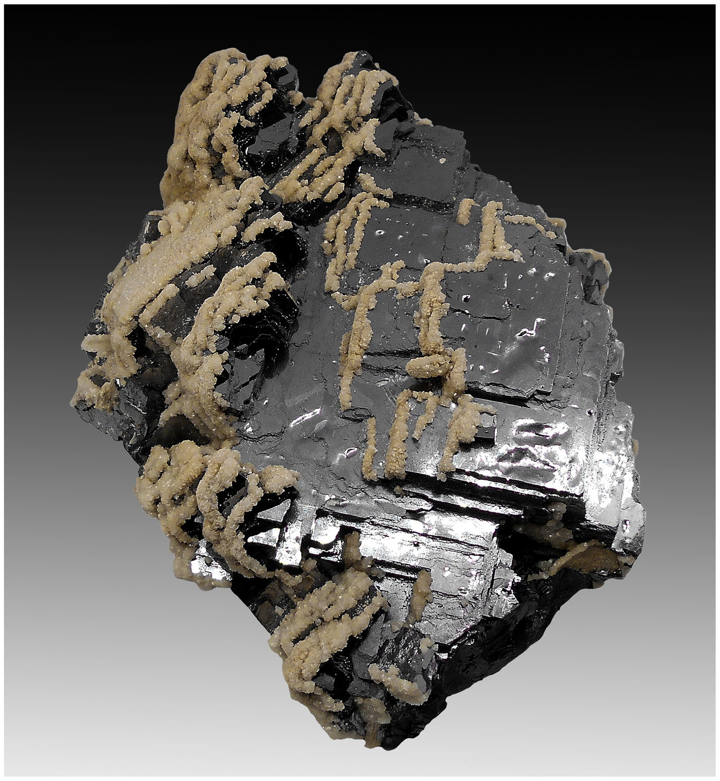 Galena, Calcite
140 mm x 110 mm x 100 mm
(Autor: silvia)