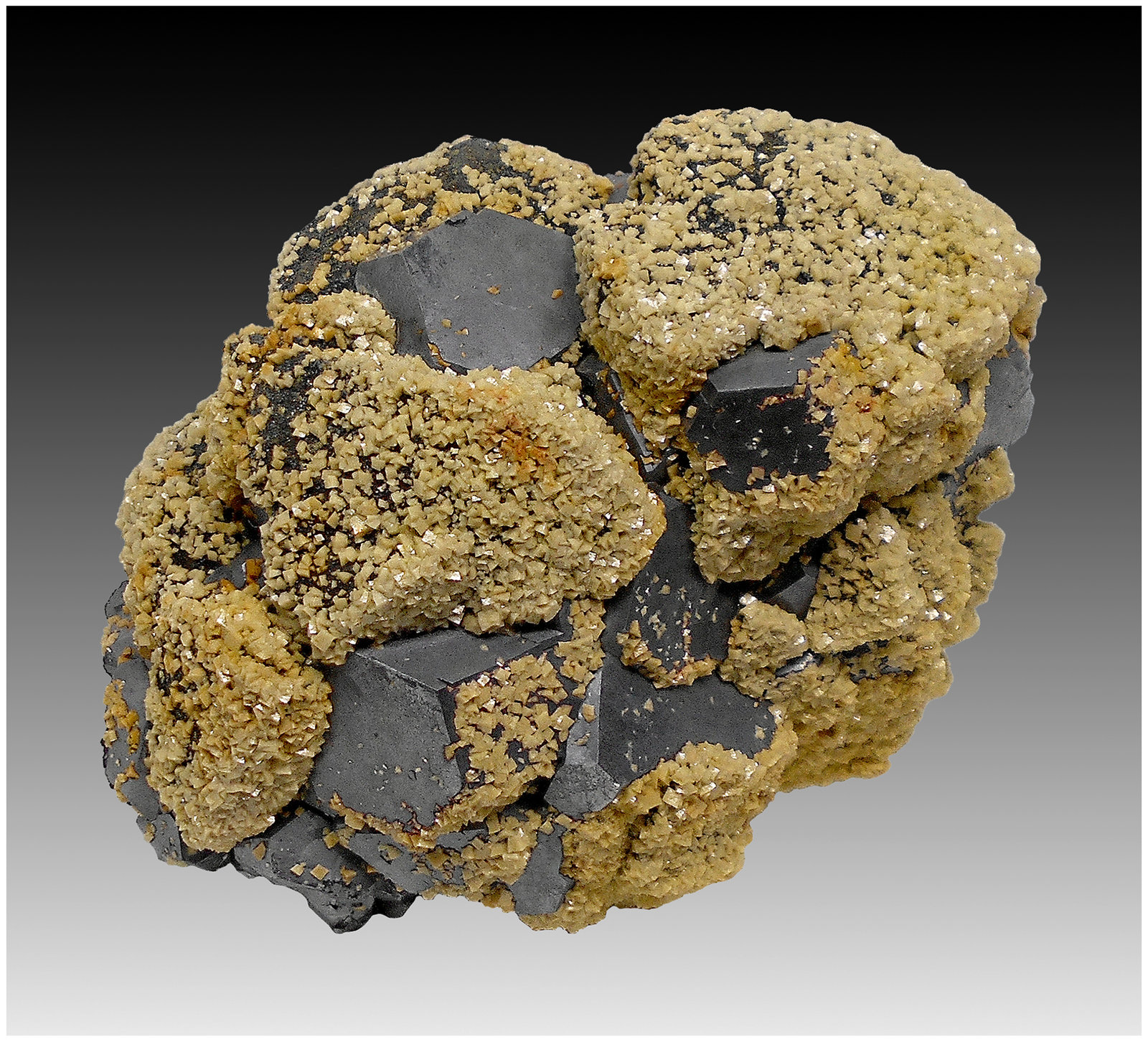 Galena with Dolomite (variety Fe-bearing dolomite)
110 mm x 80  mm x 60 mm
(Autor: silvia)