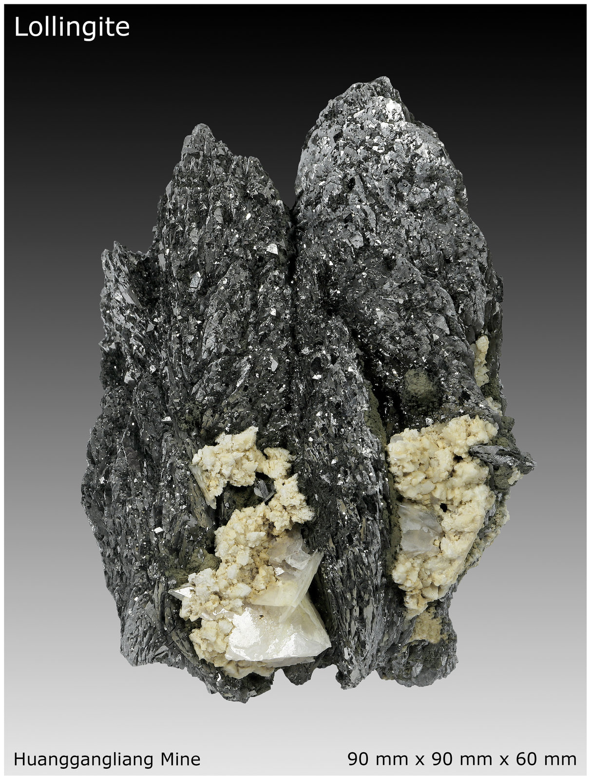 Lollingite, Arsenopyrite, Dolomite, Calcite, Magnetite and Fluorite.
90 mm x 90 mm x 60 mm
(Autor: silvia)