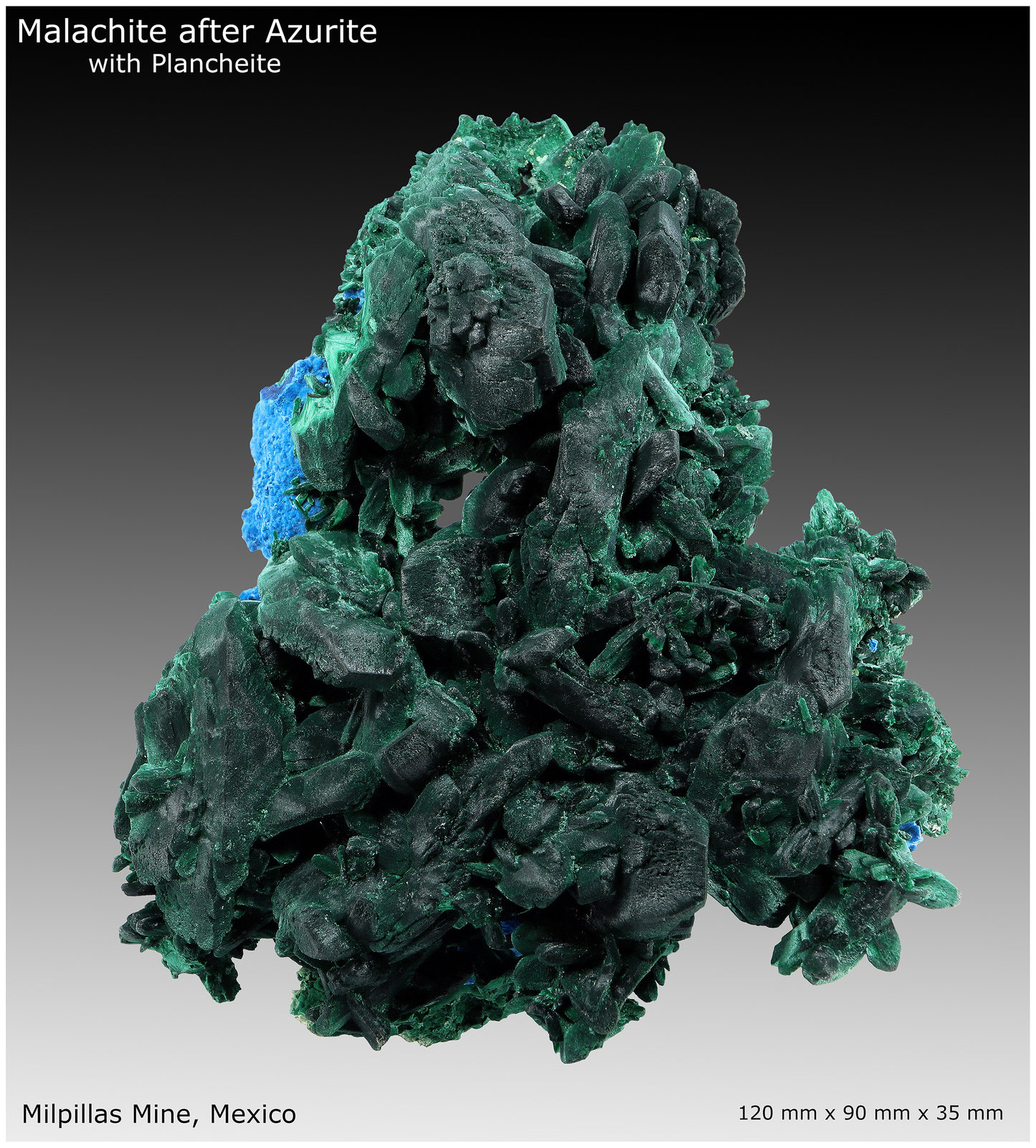 Malachite, Plancheite
120 mm x 90 mm x 45 mm
(Autor: silvia)