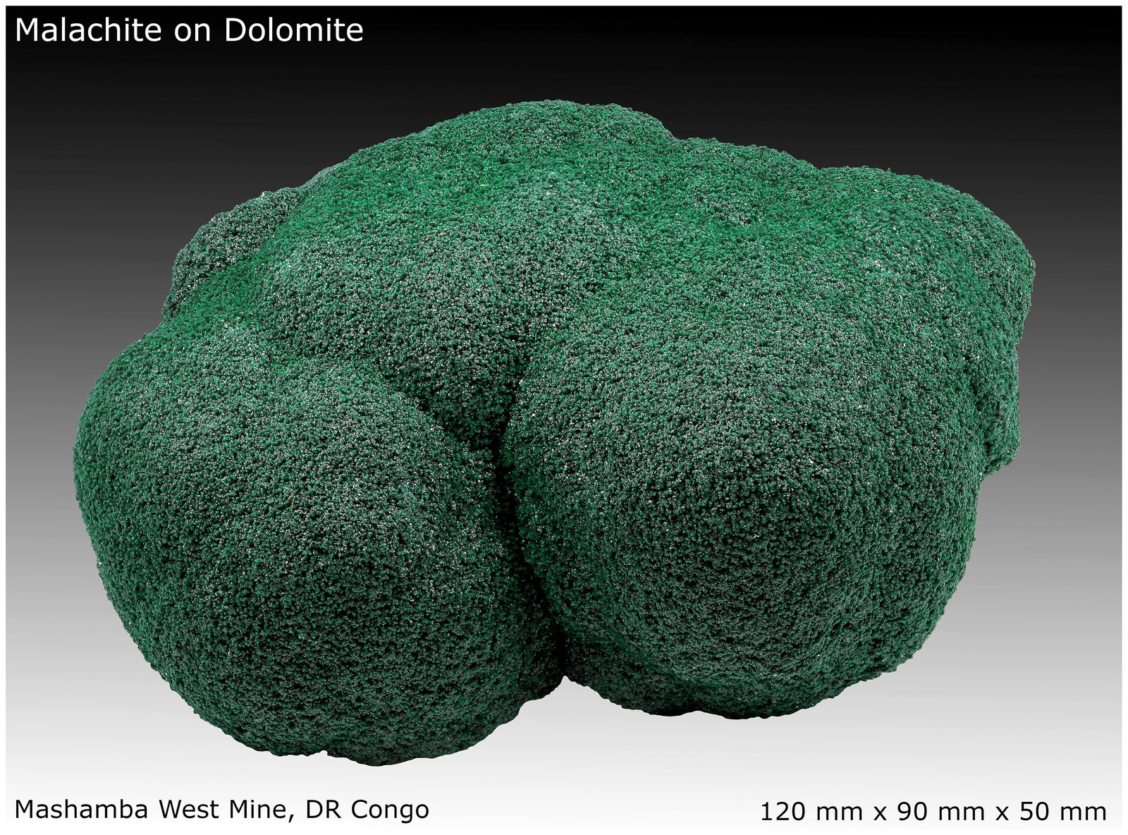 Malachite on Dolomite
120 mm x 90 mm x 50 mm
(Autor: silvia)