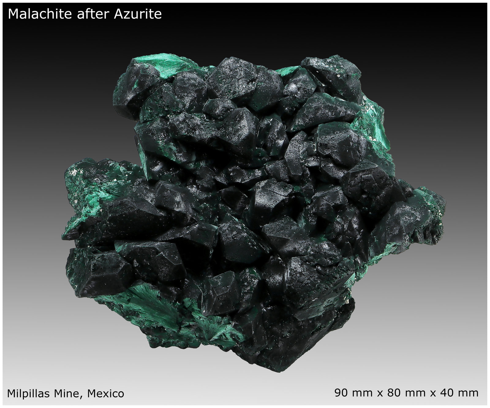 Malachite after Azurite
90 mm x 80 mm x 40 mm
(Autor: silvia)