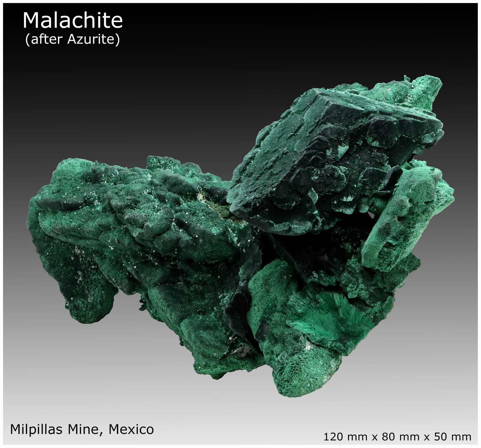 Malachite
120 mm x 80 mm x 50 mm
(Autor: silvia)