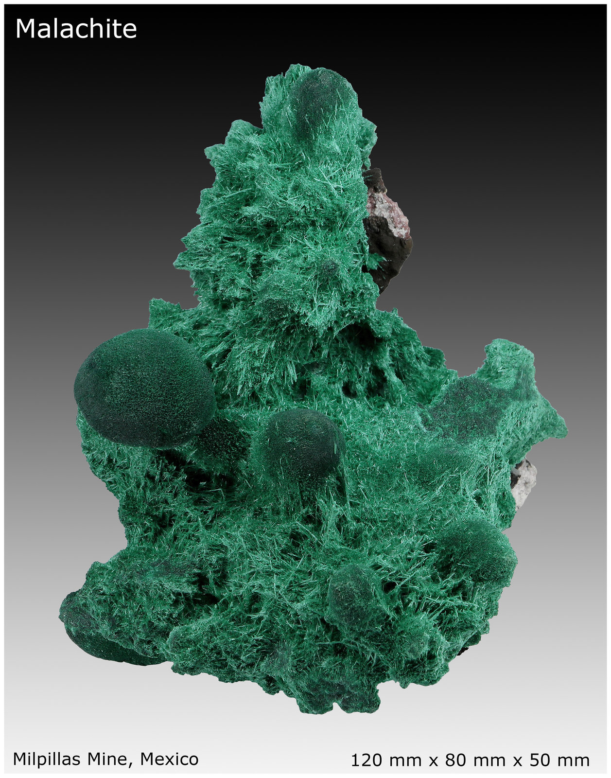 Malachite with Baryte
120 mm x 80 mm x 50 mm
(Autor: silvia)