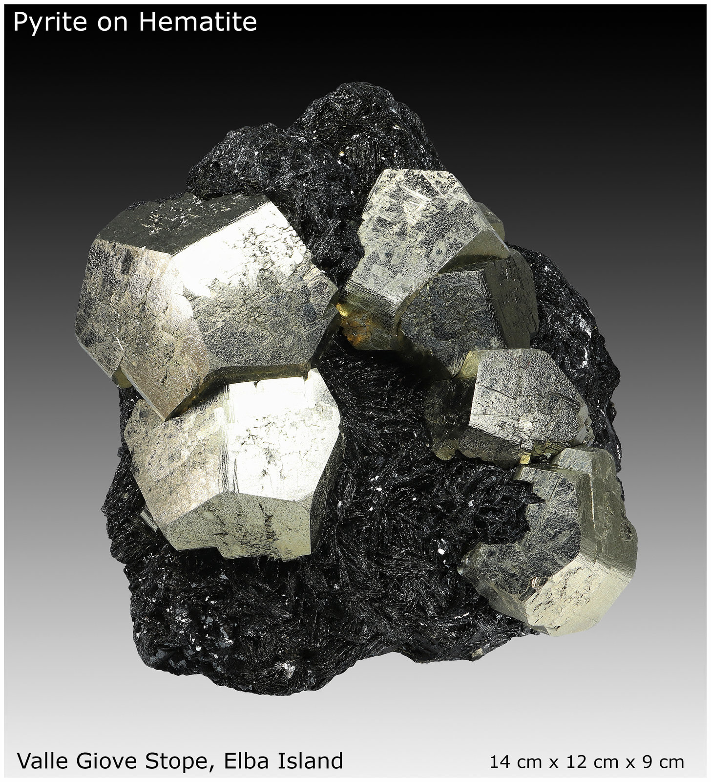 Pyrite on Hematite
14 cm x 12 cm x 9 cm
(Autor: silvia)