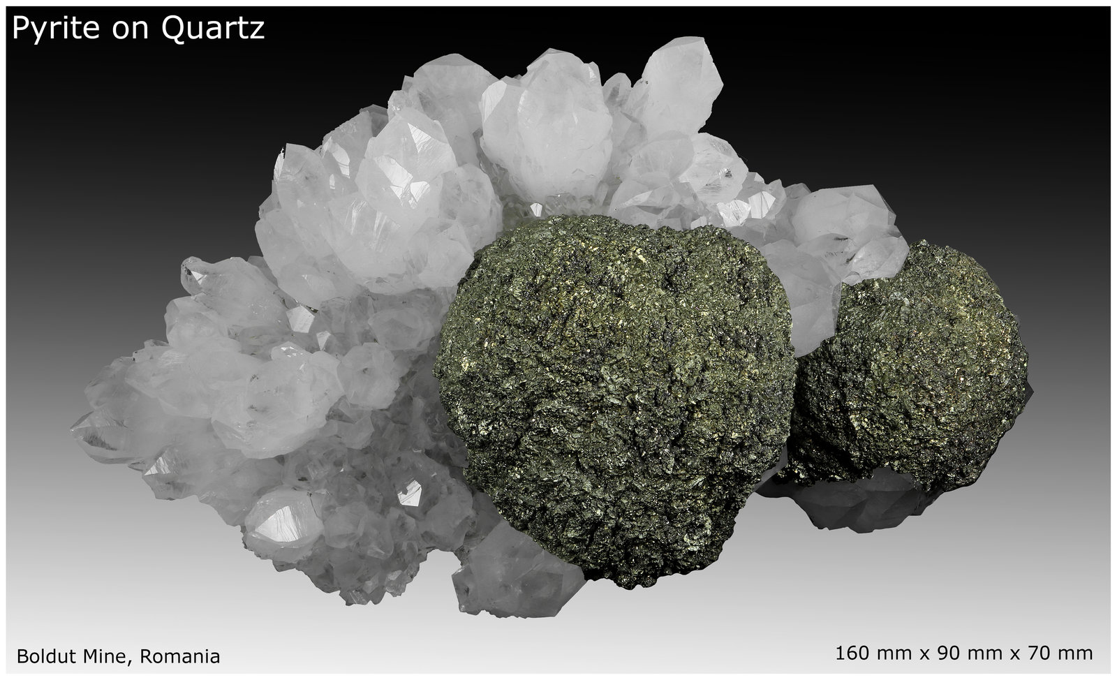 Pyrite, Quartz
160 mm x 90 mm x 70 mm
(Autor: silvia)