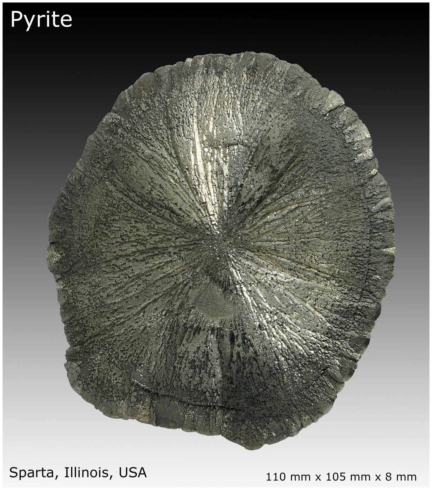 Pyrite
110 mm x 105 mm x 8 mm
(Autor: silvia)