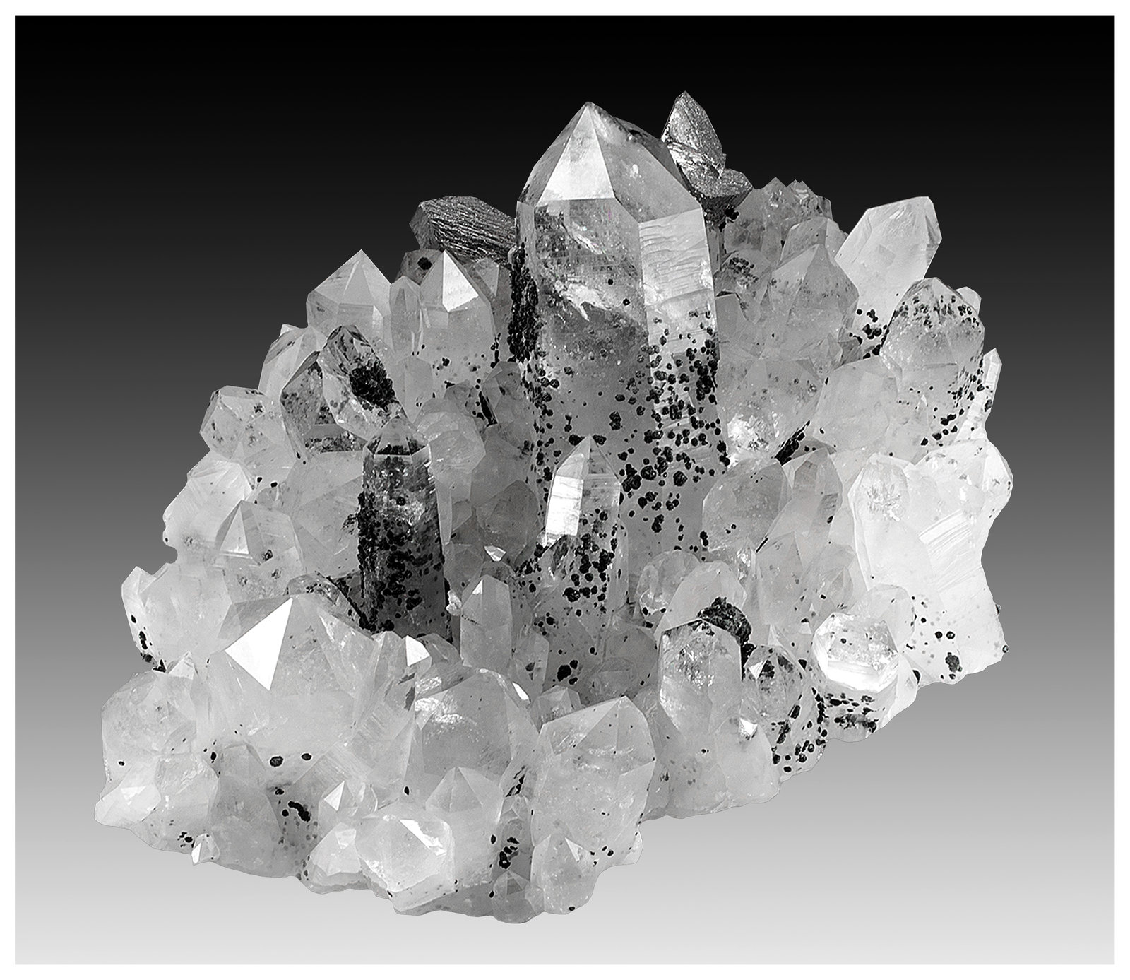 Quartz, Arsenopyrite and Chlorite (Group)
22 cm x 16 cm x 9 cm
(Autor: silvia)