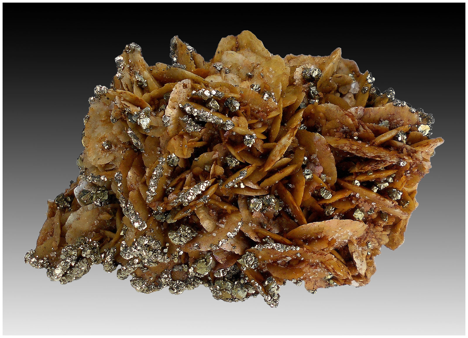 Siderite, Pyrite, Quartz
110 mm x 80 mm x 70 mm
(Autor: silvia)