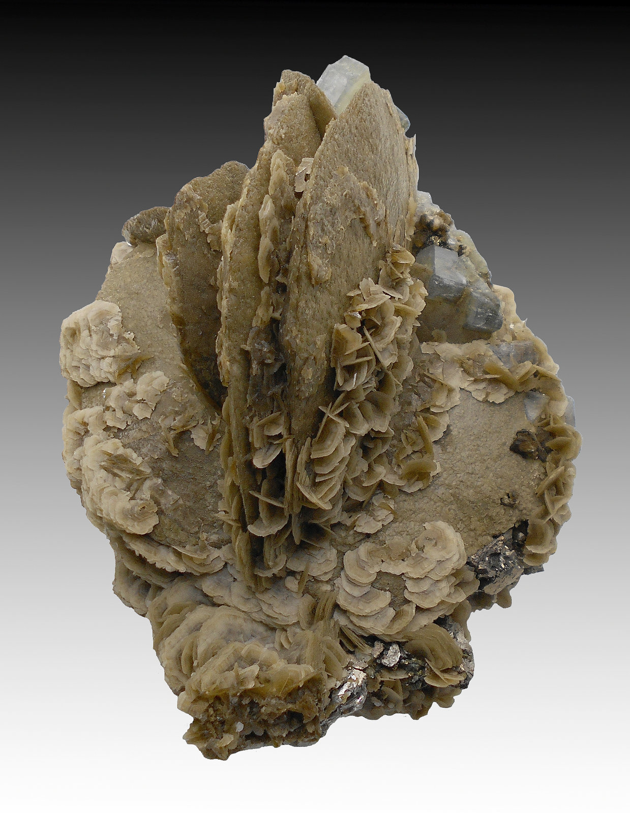 Siderite, Fluorapatite, Quartz, Arsenopyrite, Pyrite
14 cm x 11 cm x 8 cm
(Autor: silvia)