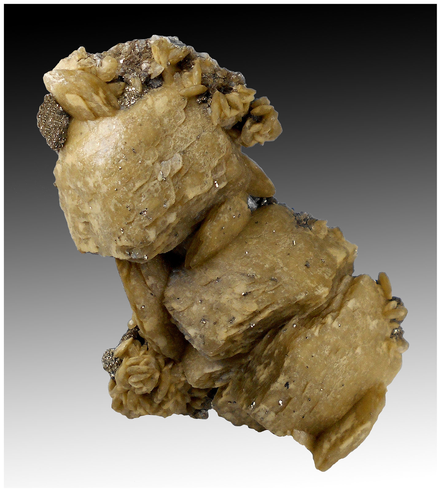 Siderite, Arsenopyrite, Pyrite
8 cm x 5 cm x 2 cm
(Autor: silvia)