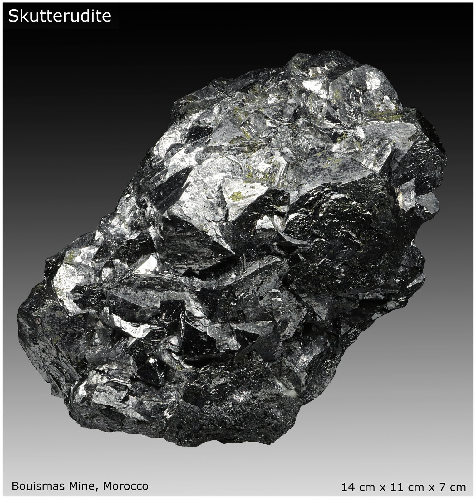 Skutterudite
140 mm x 110 mm x 70 mm
(Autor: silvia)