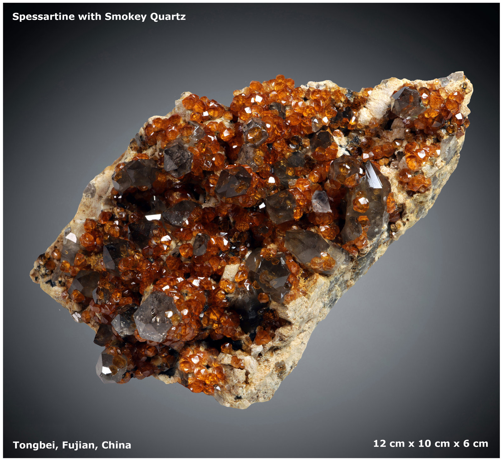 Spessartine and Smoky Quartz
12 cm x 10 cm x 6 cm
(Autor: silvia)