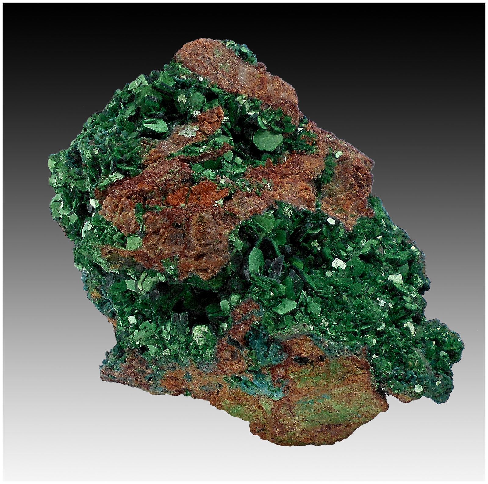 Meta-Torbernite
80 mm x 70 mm x 60 mm
(Autor: silvia)