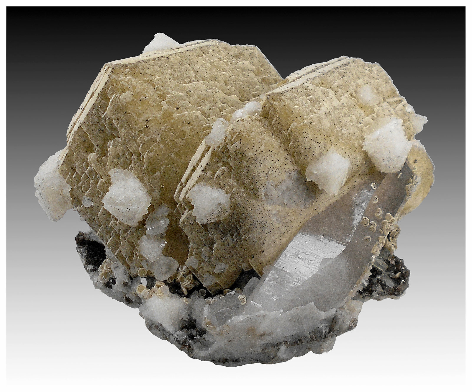 Siderite, Quartz, Dolomite, Muscovite, Pyrite
11 cm x 8 cm x 7 cm
(Autor: silvia)
