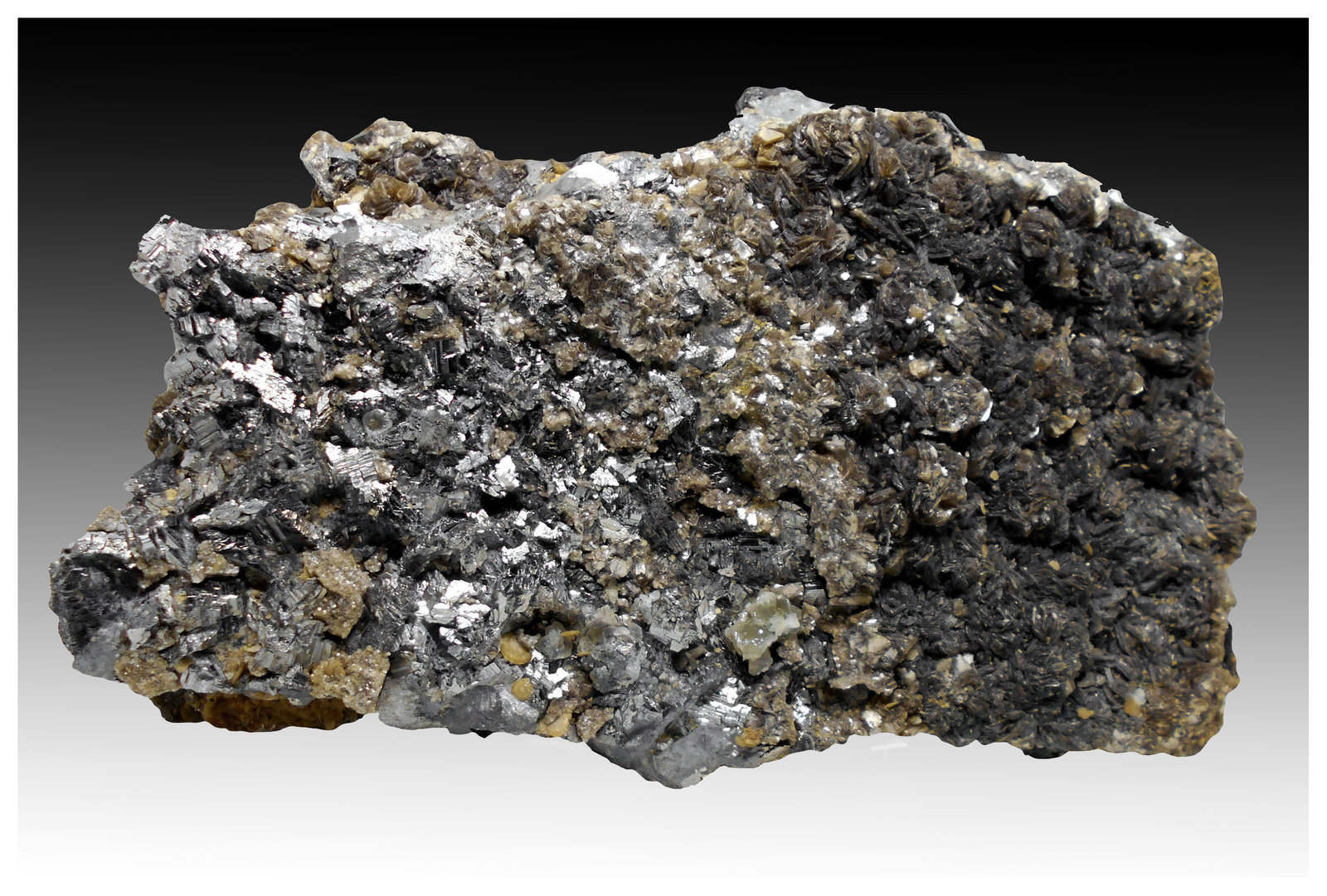 Arsenopyrite, Sphalerite, Siderite, Muscovite
23 cm x 16 cm x 8cm
(Autor: silvia)