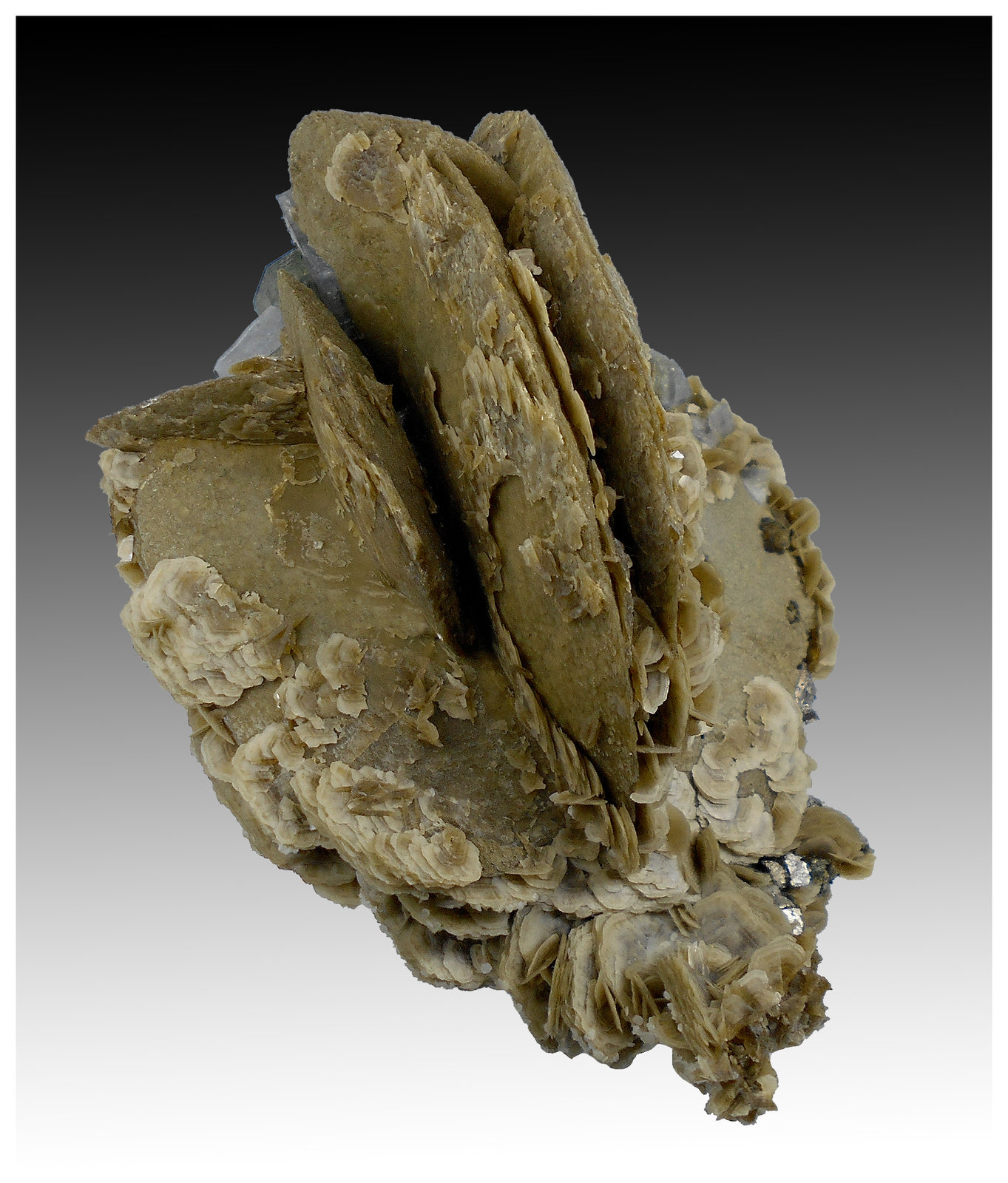 Siderite, Fluorapatite, Quartz, Arsenopyrite, Pyrite
14 cm x 11 cm x 8 cm
(Autor: silvia)