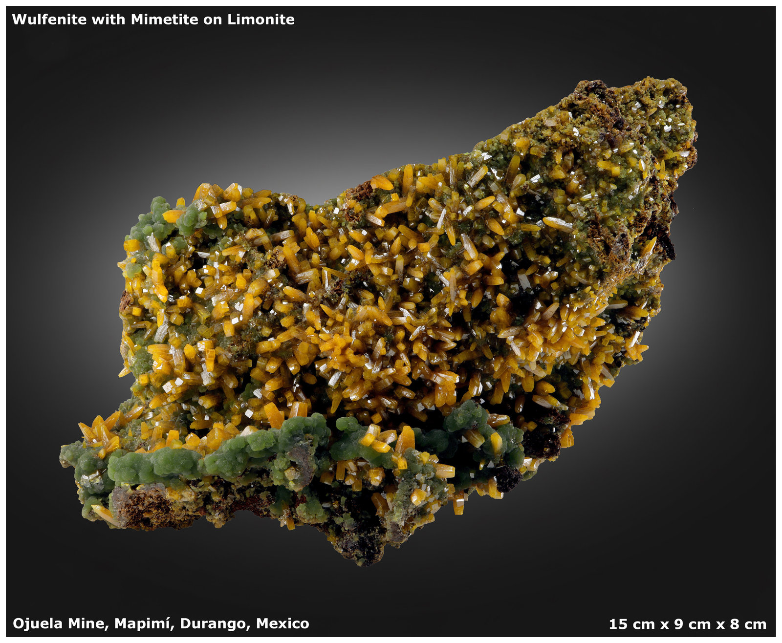 Wulfenite with Mimetite
15 cm x 9 cm x 8 cm
(Autor: silvia)