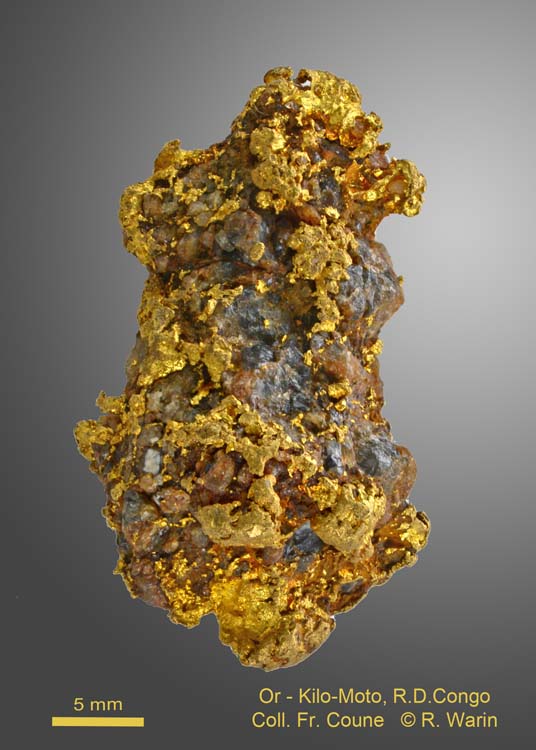 Gold
(Autor: Roger Warin)