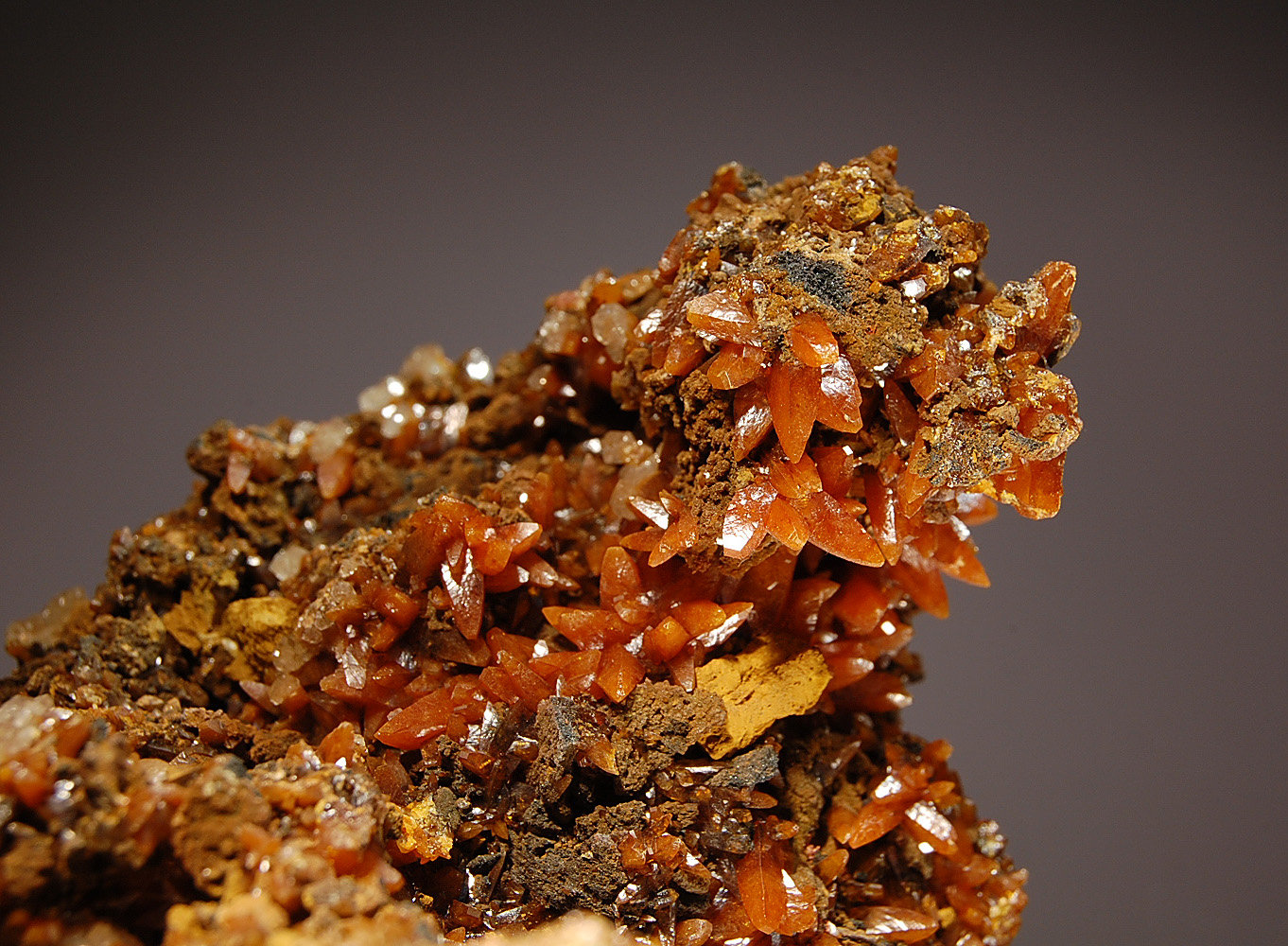 Wulfenite
7.0 x 8.5 cm FOV~3.5 cm
(Autor: Michael Shaw)