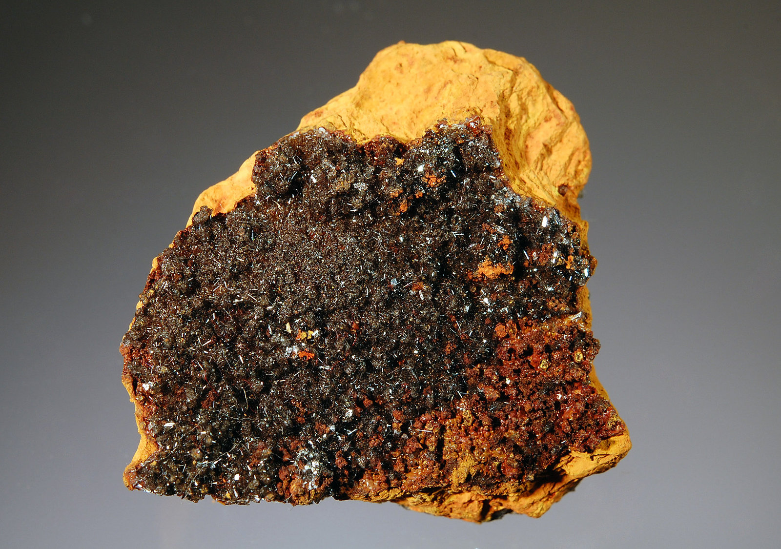 Plattnerite
3.2 x 3.4 cm
(Autor: Michael Shaw)