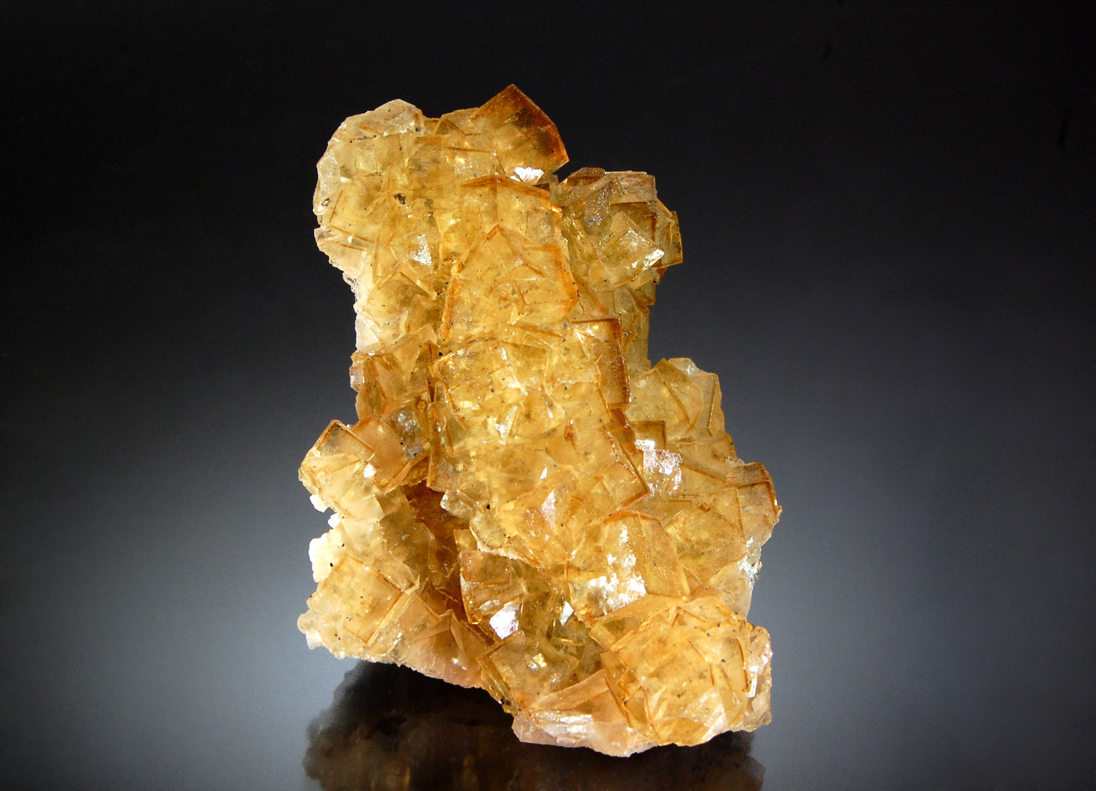 Fluorite
5.1 x 7.3
(Autor: Michael Shaw)